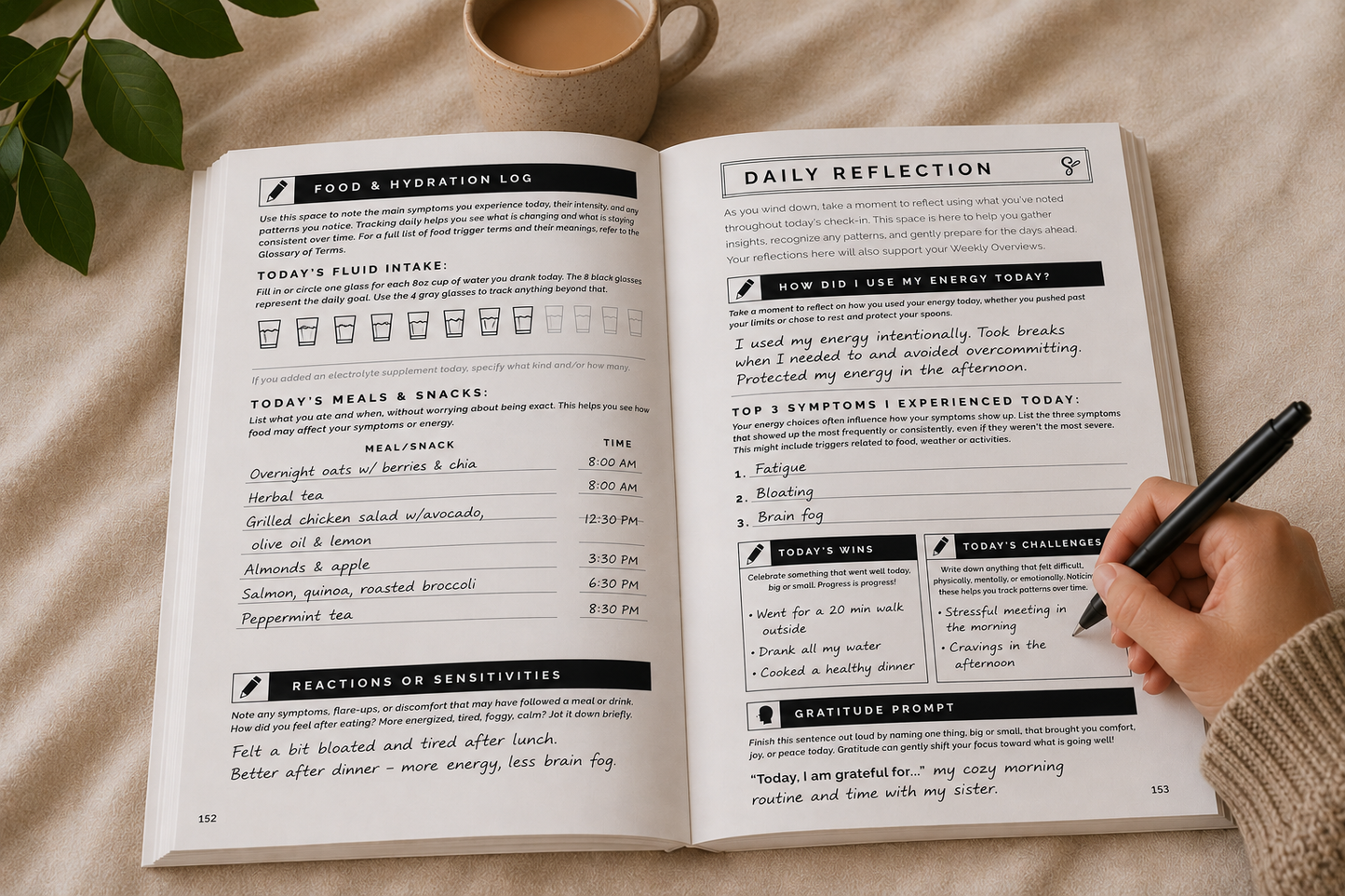 My Inner Compass - Symptom Tracker and Journal
