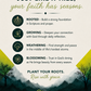 Personal Prayer Companion: Trees of Righteousness