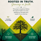 Personal Prayer Companion: Trees of Righteousness